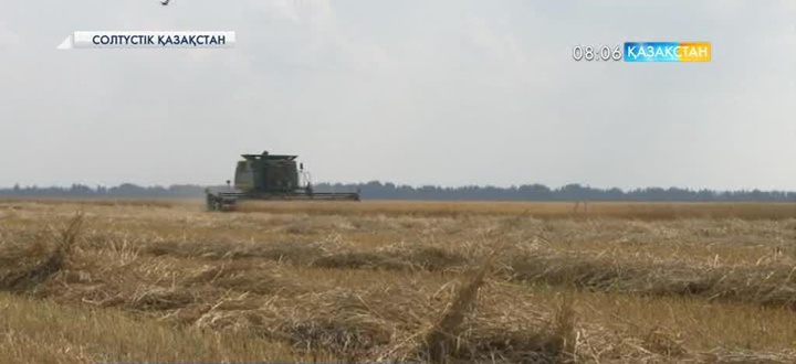 Теріскейде егін орағы басталды