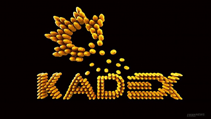 Қорғаныс министрілігі «KADEX-2016» көрмесі қарсаңында журналистер арасында байқау жариялады