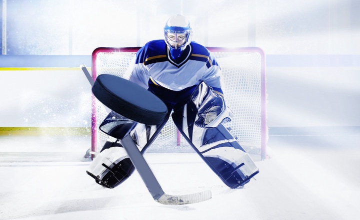 Германия мен Францияда өтетін хоккейден 2017 жылғы әлем чемпионатының бюджеті жария етілді