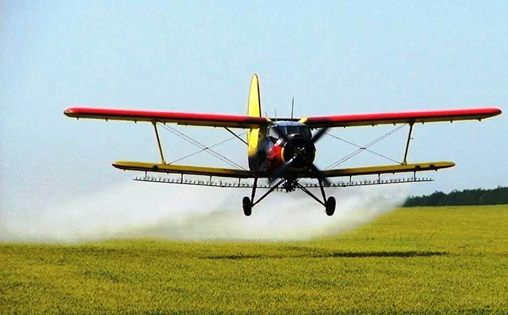 Сарыағашта шегірткемен күрес жұмыстары басталды 