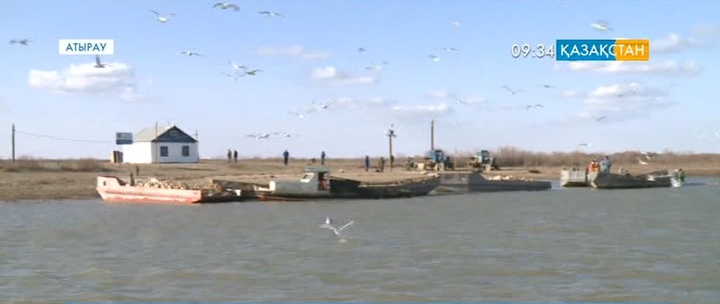 Жайықтың суы молайып келеді