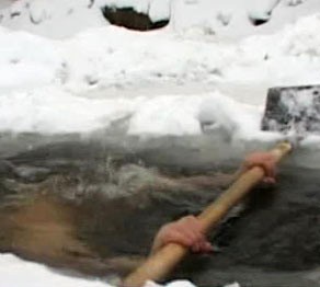 Морждар қысқы шомылу науқанын бастады