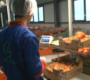 В Мангистаускую область будут доставлять продукты по невысоким ценам