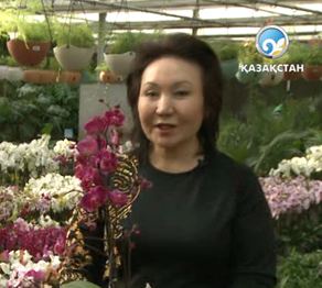 Даланы гүлге бөлеген арулар