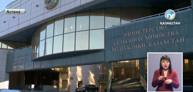 Ауыл шаруашылығы саласының тағы бір басшысы ұсталды