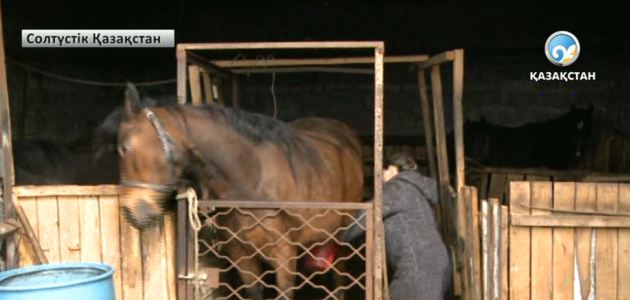 Қымыз өндірісімен шұғылданушылар көбейіп келеді