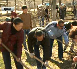 Қазақ елінде Ағаш егу күні аталып өтті