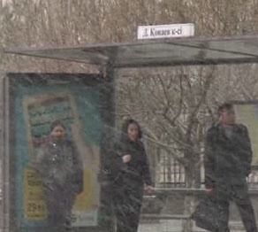 Бүгін Қарағандыда жауған жаңбырдың аяғы қарға ұласады