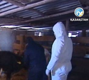 Астанада аусыл дертімен күрес жүргізетін орталық ашылды