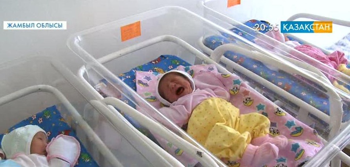 Таразда үшем дүниеге келді