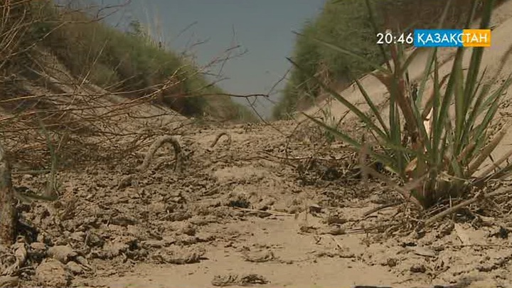 Шаруалар ағын суға зәру