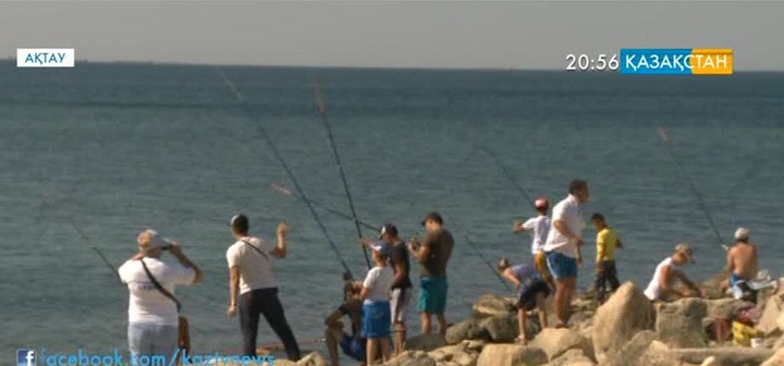 Ақтау қаласында балық аулаудан жарыс өтті