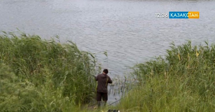 Солтүстік Қазақстан облысында балықшыны жылан шақты