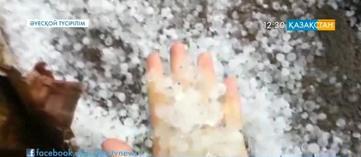 Екібастұзда бұршақ жауды (ВИДЕО)