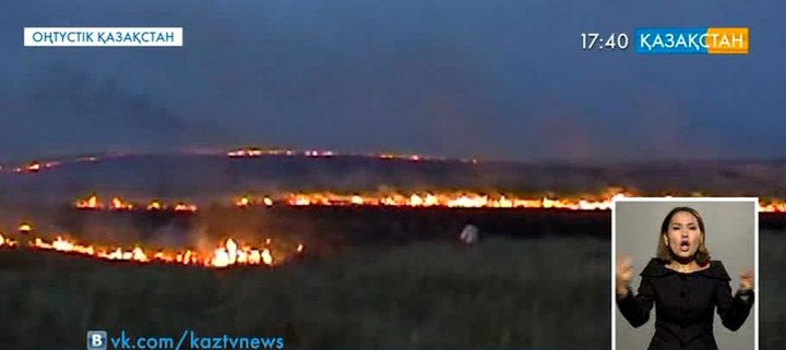 ОҚО: Бәйдібек ауданында 40 гектардан аса жайылымдық өртеніп кетті