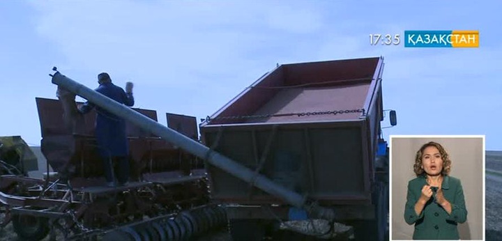 Ақмола облысында серіктестік директоры ірі көлемде астық ұрлаған