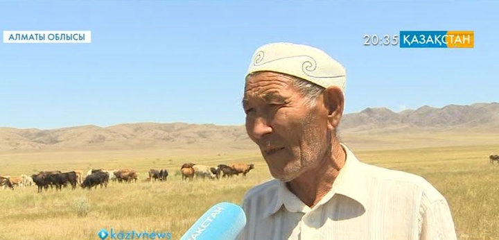 Мал шаруашылығы өркендеуде