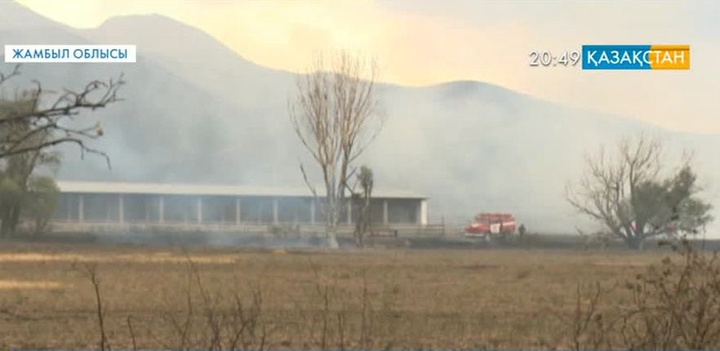 Меркі ауданында 5 күн бойы жанған өрт бүгін сөндірілді