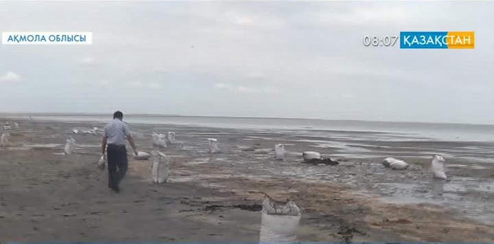 Қорғалжында сирек кездесетін шаяндардың уылдырығы тәркіленді