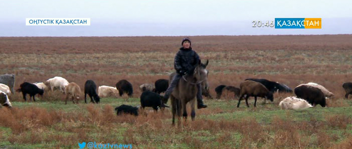 Ақбастау ауылының тұрғындары  жайылымдық жерлерді қайтаруды талап етуде