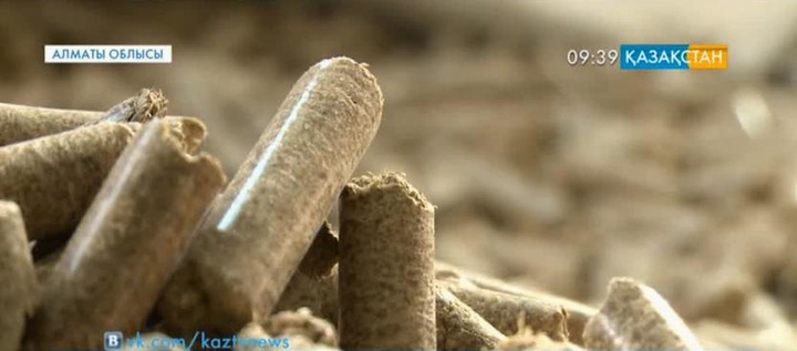 Болашақтың энергиясы – биоотын