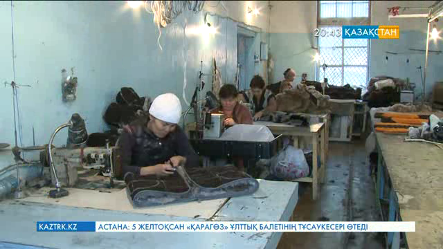 Қордай ауданында жүн тазалайтын цех іске қосылды