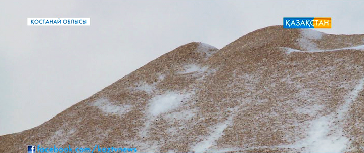 Қостанай облысында 32 мың гектар алқаптың астығы қар астында қалды