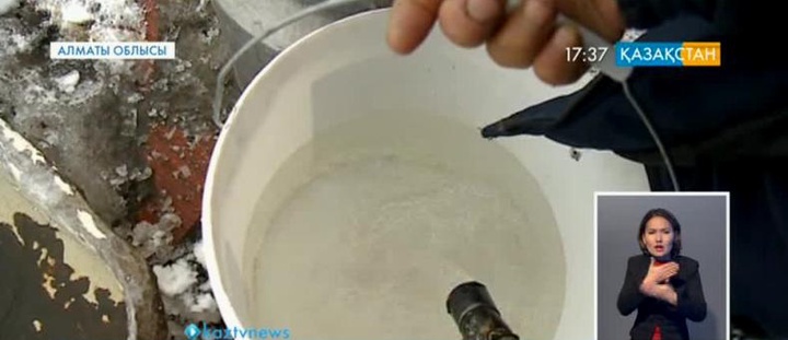 Таудағы Тұйықтың тіршілігі