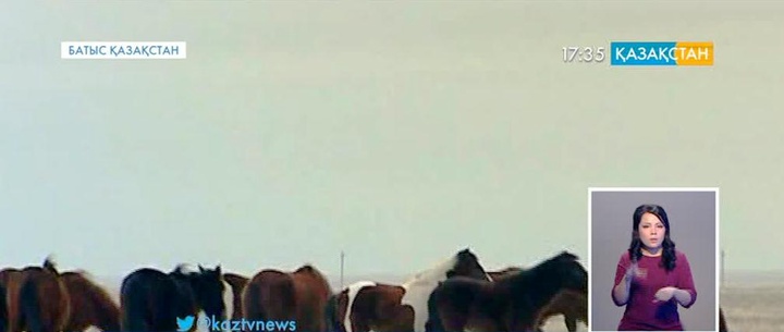 Барымташылар қылмыс үстінде қолға түсті