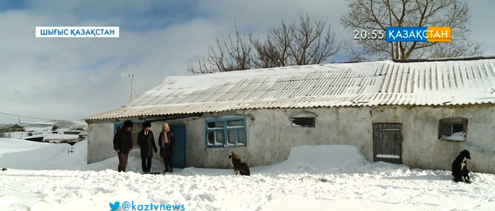Шығыс Қазақстан облысындағы ауыл тұрғындарына қасқыр шапты