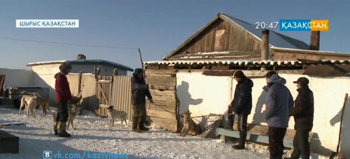 Шығысқазақстандық Қанат Мұқамадиев екі түз тағысын тірідей ұстап алған