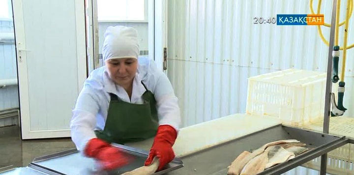 Атыраудағы «Інжу-маржан» кәсіпорны 40-қа жуық балық өнімдерін дайындайды