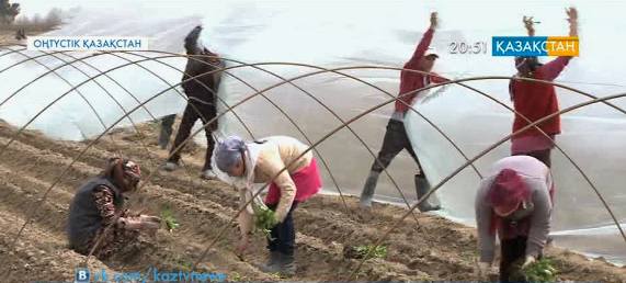 Оңтүстік көктемгі егіске дайындалуда