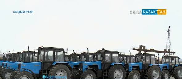 Алматы облысында биыл 4 мың гектар алқапқа қант қызылшасы себіледі