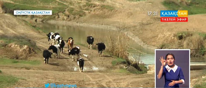 Оңтүстік Қазақстан облысында  жайылым жерлерде құдық қазу ісі басталады