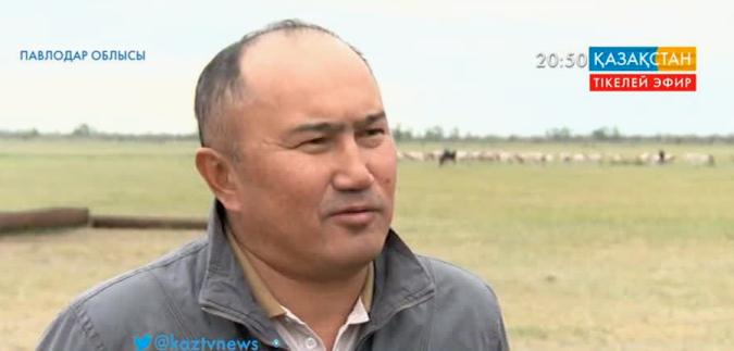 Мемлекет тарапынан субсидия алып келген павлодарлық шаруалардың басы дауға қалды