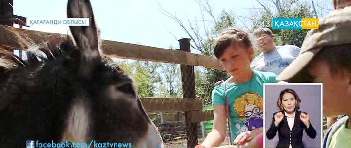 Теміртауда ерекше хайуанаттар бағы ашылды