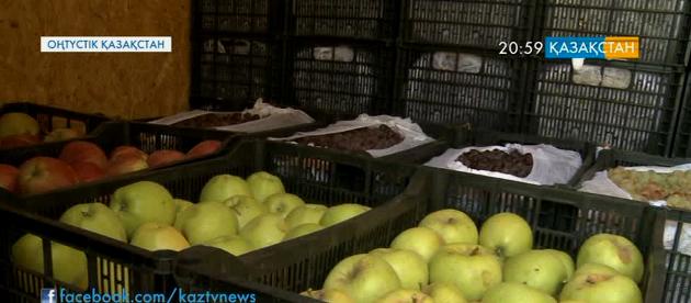 Елордада Оңтүстік Қазақстан облысының жәрмеңкесі өтеді