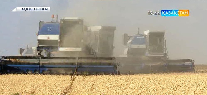 Елімізде  егін орағы аяқталуға жақын