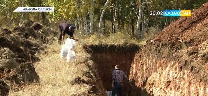 Ақмола облысының Зеренді ауданында алтынның мол қоры болу мүмкін