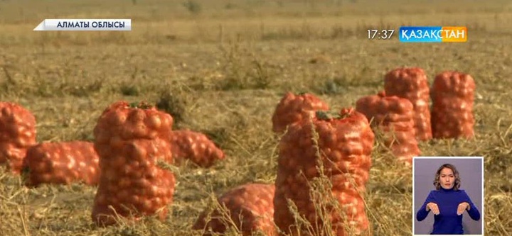 Алматы облысы, Ақсу ауданында жер шаруашылығы дамуда