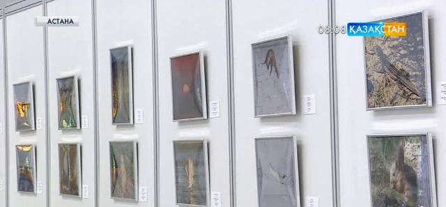Астанада жануарлар әлемінің тұңғыш фотокөрмесі өтті