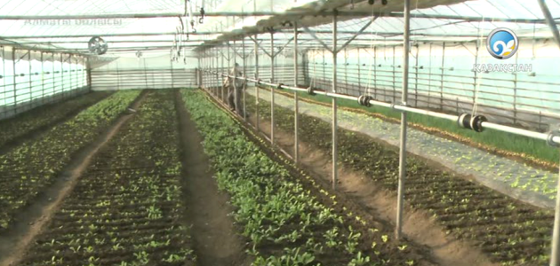 Жолдау шағын кәсіпкерлікке серпін береді