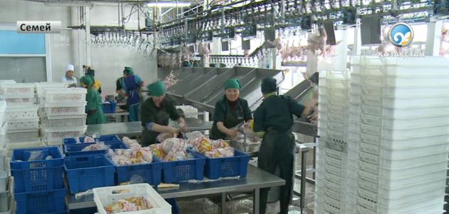 Отандық өндірістің экспорттық үлесі артып келеді