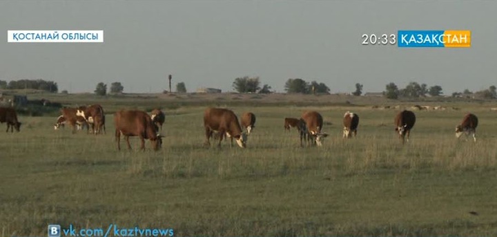 «Сыбаға» бағдарламасы шаруалар үшін өте тиімді