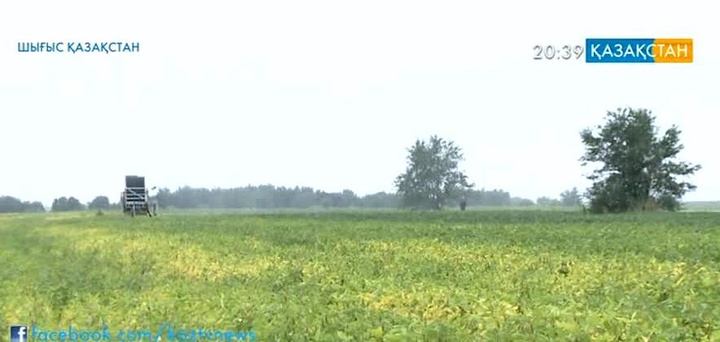 Шығыс Қазақстанда суармалы жерлер көлемі ұлғайды