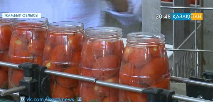 Меркі ауданында былтыр іске қосылған консерві зауыты шикізатқа зәру