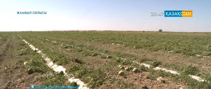 Жамбыл облысында жерасты суы пайдаға аспай жатыр