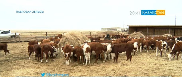 Мемлекеттік бағдарламаның берері мол