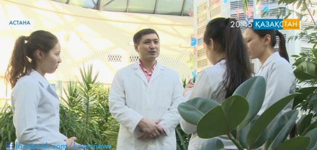 Жусаннан иіссу өндіретін кәсіпорын ашылады